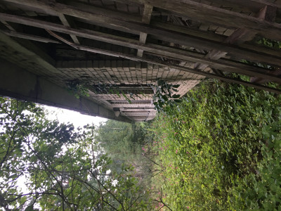 725041B6-D028-446D-A3BF-9F788C145389.jpeg