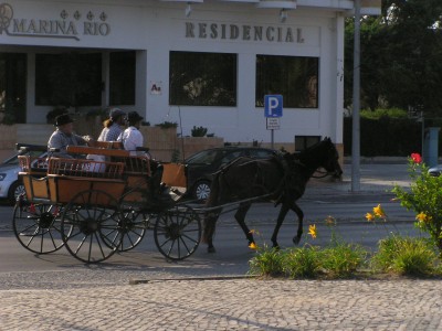 P1010293.JPG