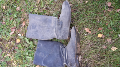 IMG-20211001-WA0036.jpeg
