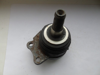 DSC08174.JPG
