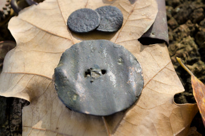 8b.jpg