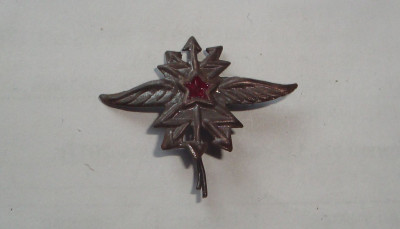 DSC00165.JPG