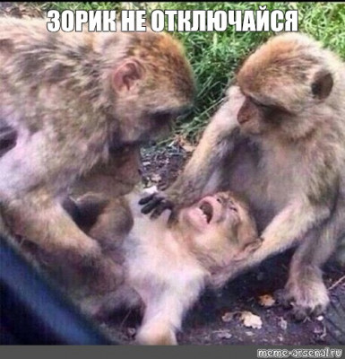 2da7e74efd51c2bfbb98fbcd85c9e496.jpg