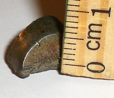 CIMG1821.JPG