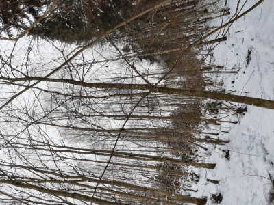 20211230_110957.jpg