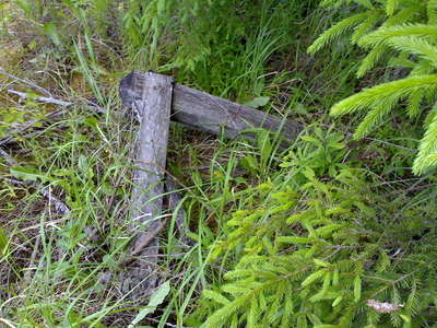 12062008228.jpg