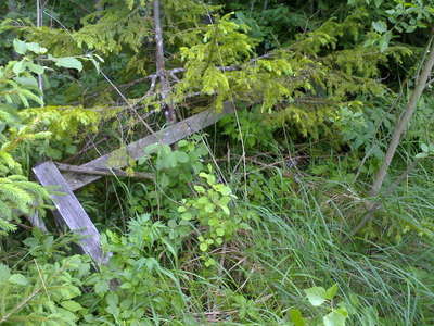 12062008225.jpg