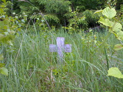 12062008222.jpg