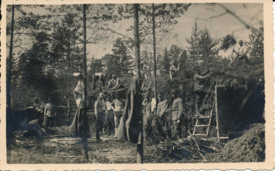 sienasnozarbuv.jpg