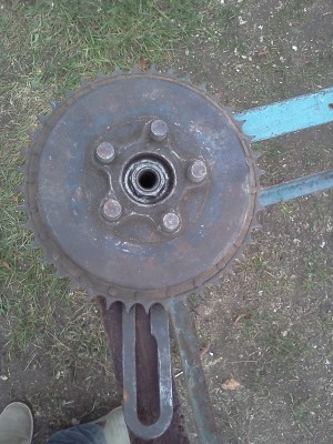 IMG301.jpg