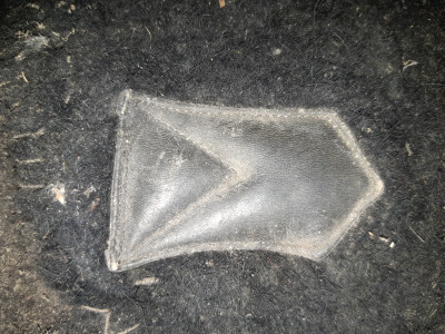 20220404_111617.jpg
