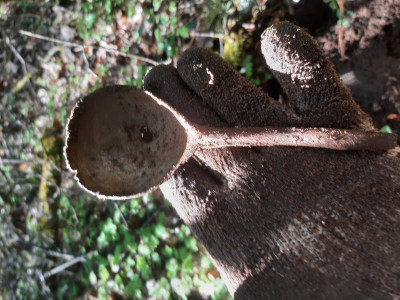 20220515_094638.jpg