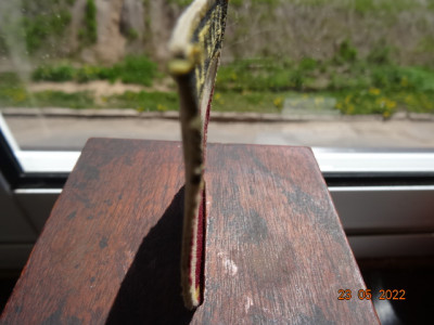 DSC00390.JPG