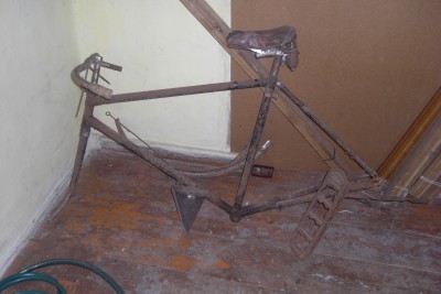 CIMG5516.JPG