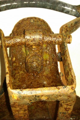 IMAG0941.jpg