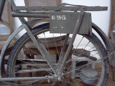 IMG335.jpg