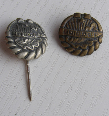 P1010033.JPG