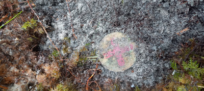 20221110_112310.jpg