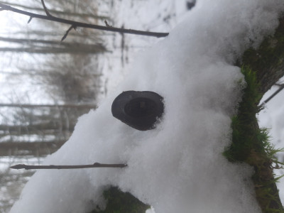 20221123_102202.jpg