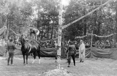 ideta15.jpg