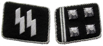 SS_-_Obersturmbannfuhrer_Collar_Tabs.png