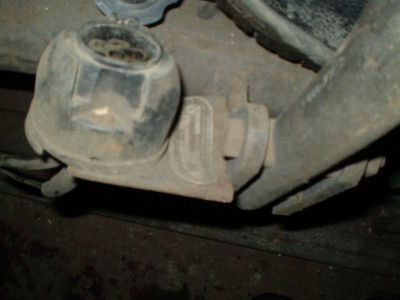 P1010003.JPG