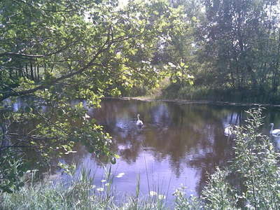 06062008(003).jpg