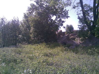 06062008(007).jpg