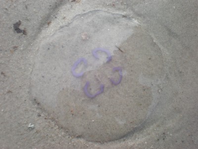 PA292129.JPG