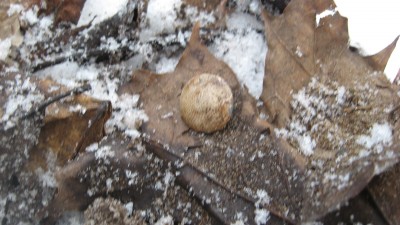 IMG_3288.JPG