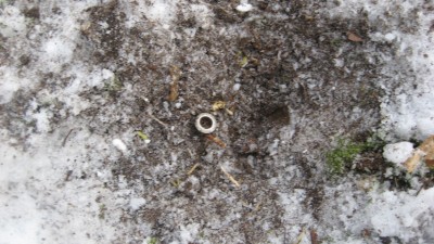 IMG_3293.JPG