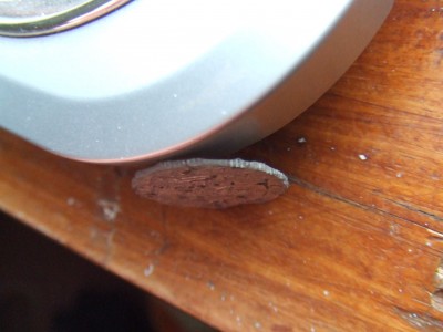 DSCF4731.JPG