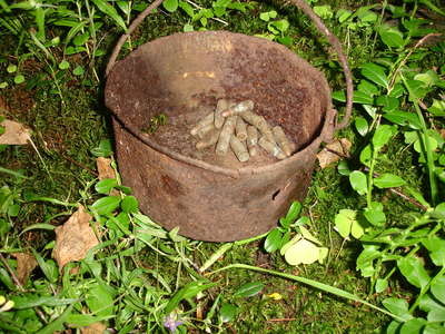 DSC00629.JPG