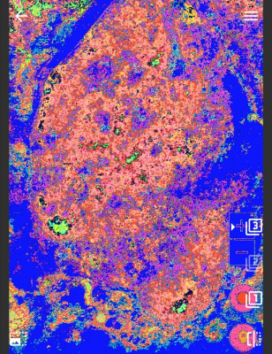 Screenshot_20230906_061258.jpg