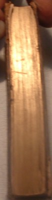 DSCF0284.JPG
