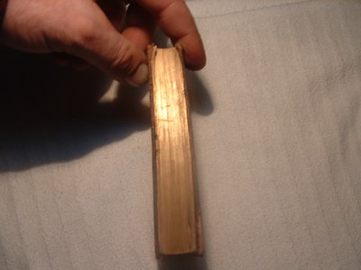 DSCF0285.JPG