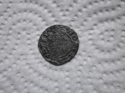 P1041303.JPG
