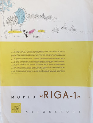 R1a.jpg