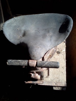 IMG400.jpg