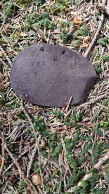 IMG-20240508-WA0008.jpg