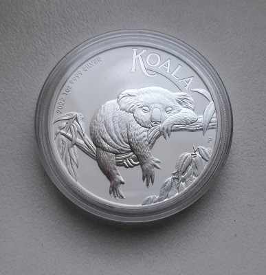 australia-silver-koala-3.jpg