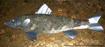 74488375_serebryannaya_ruyba.JPG