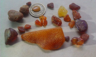 5_04_2012jan2.jpg