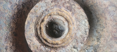 20240609_092454.jpg