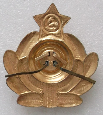 DSCF9390.JPG