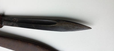 20240707_154101.jpg