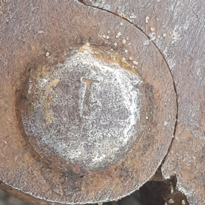 20240921_144527.jpg
