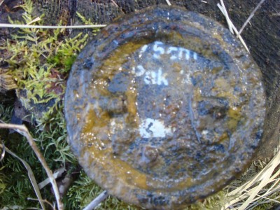 DSC08102.JPG
