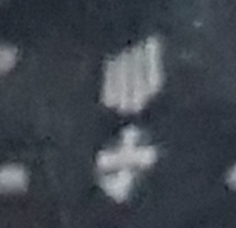 20241006_090848.jpg