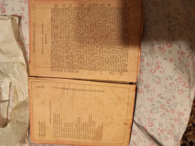 20241113_174219.jpg